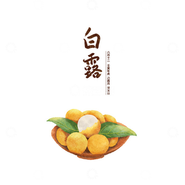 源文件下载【趣麦麦图】二十四节气白露手绘水彩插画之龙眼