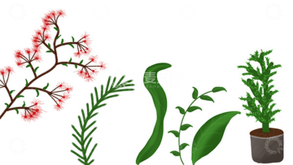 源文件下载【趣麦麦图】绿色 花 草 盆栽 仙人掌 绿植 插画