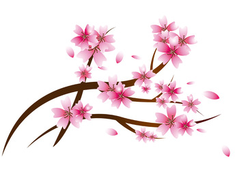 中国风粉红色樱花矢量插画