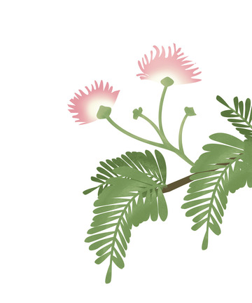 绿色花枝植物树枝元素