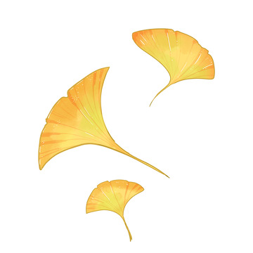 秋季银杏叶手绘插画元素
