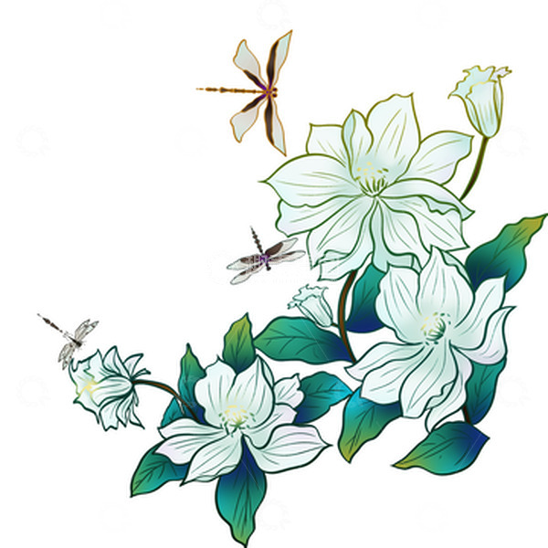 源文件下载【趣麦麦图】白色手绘栀子花装饰元素