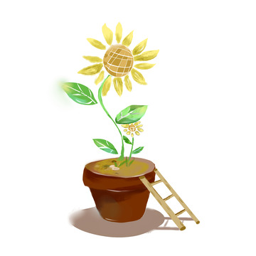 绿色向日葵花盆手绘图