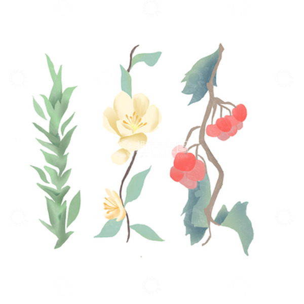 源文件下载【趣麦麦图】绿色黄色红色小清新花卉边框素材