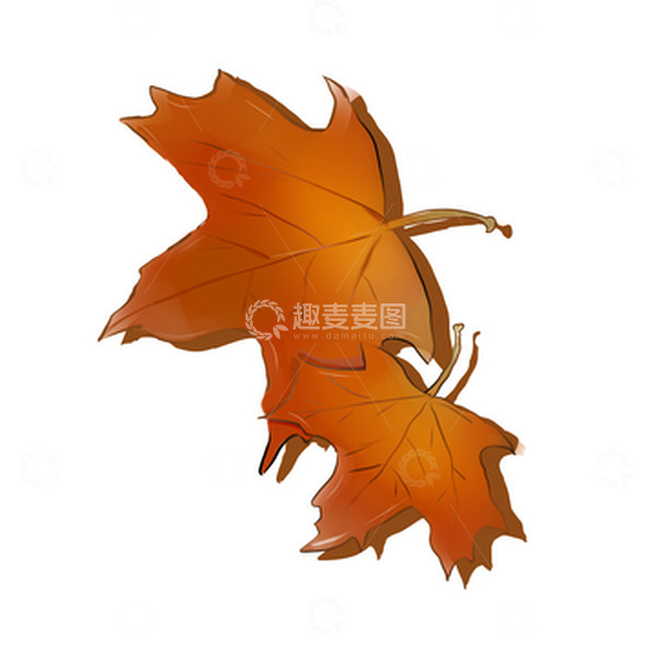 源文件下载【趣麦麦图】枫叶叶子秋天手绘图