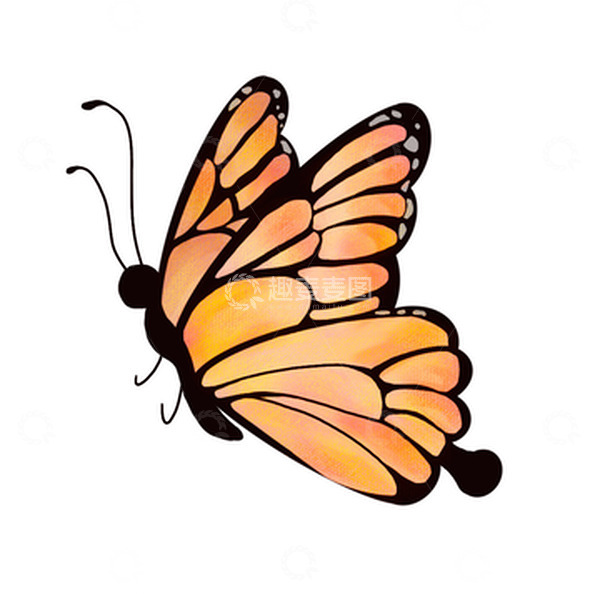 源文件下载【趣麦麦图】黄色卡通翩翩起舞的蝴蝶手绘图