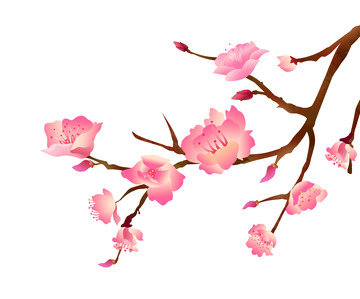 手绘卡通春天粉红桃花树枝植物花卉元素