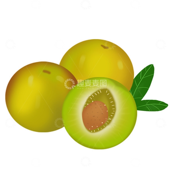 源文件下载【趣麦麦图】绿色李子四川脆李水果手绘元素