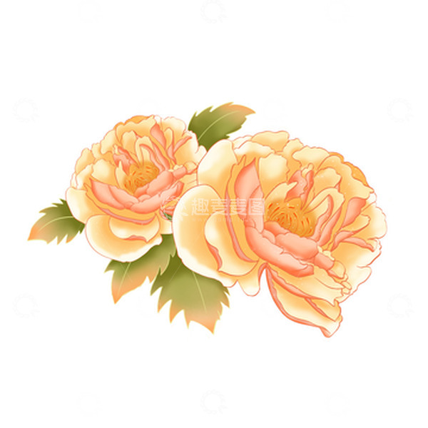 源文件下载【趣麦麦图】手绘国庆牡丹花