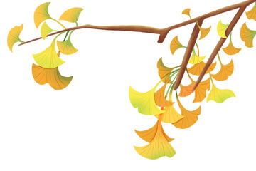 黄色秋天银杏叶手绘插画元素