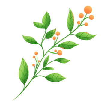 清新绿色植物手绘插画装饰元素
