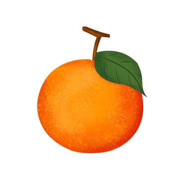 黄色桔子柑橘水果手绘元素