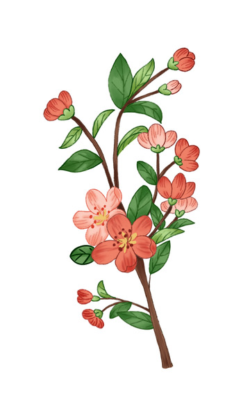 春天桃花手绘