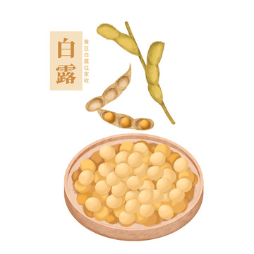 白露黄豆谷物收成秋收手绘