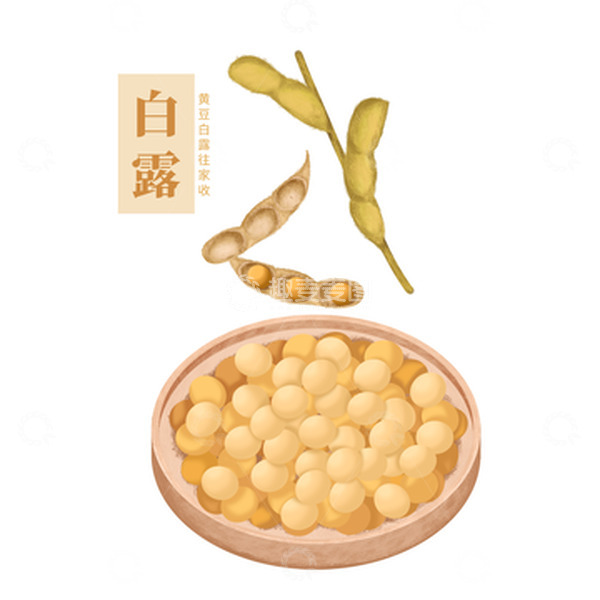 源文件下载【趣麦麦图】白露黄豆谷物收成秋收手绘