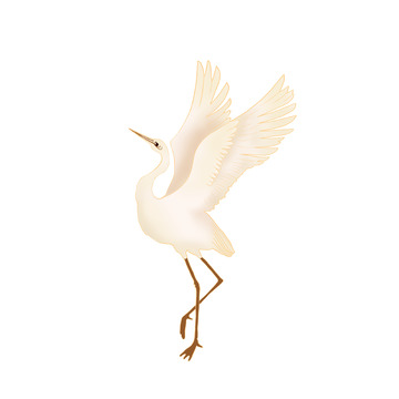 国潮白露金边水禽白鹭鸟