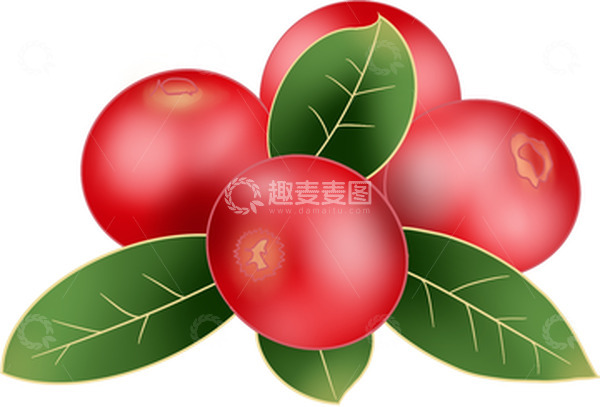 源文件下载【趣麦麦图】红色绿色红果水果植物手绘