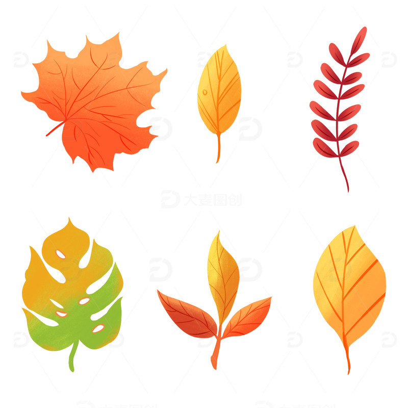 黄色秋天叶子元素免扣素材
