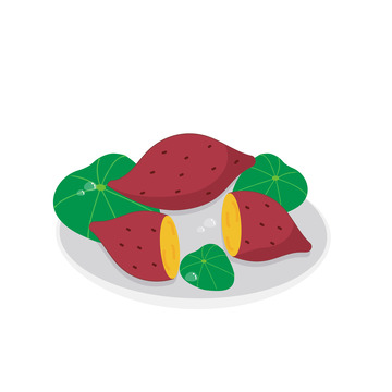 白露番薯红薯荷叶露珠手绘元素