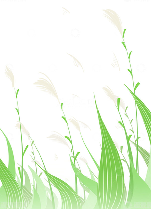 源文件下载【趣麦麦图】绿色白露芦苇节日植物手绘图