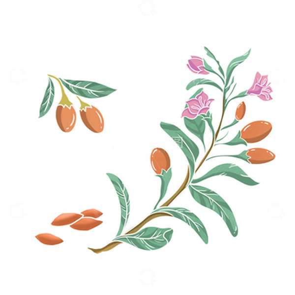 源文件下载【趣麦麦图】-手绘清新养生枸杞插画元素