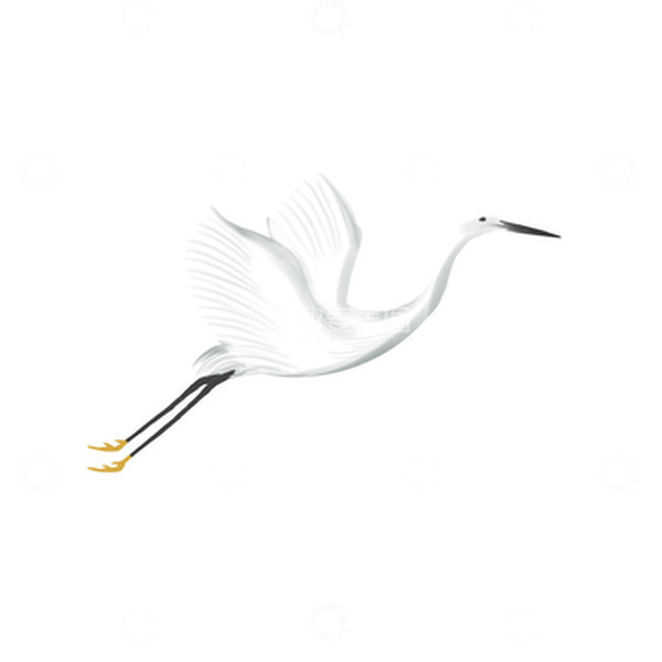 源文件下载【趣麦麦图】飞行白鹭手绘插画白露节气元素