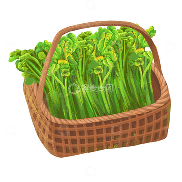源文件下载【趣麦麦图】绿色植物篮子里的蕨菜手绘