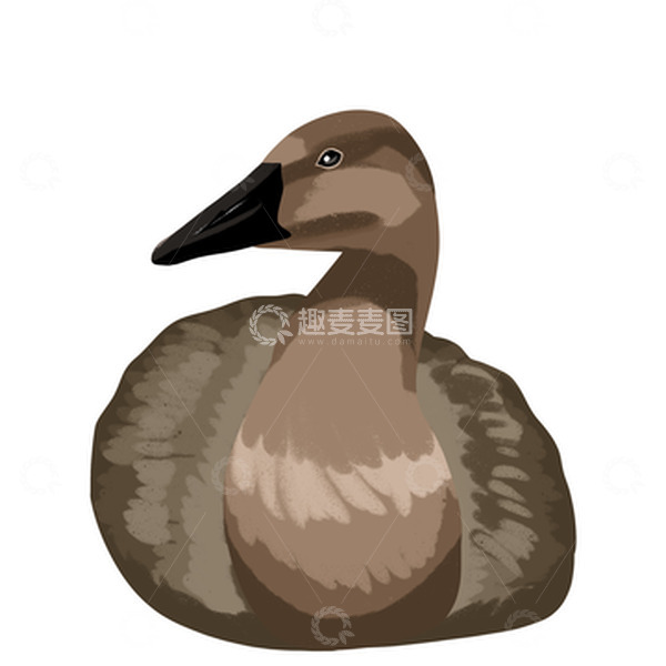 源文件下载【趣麦麦图】休息的鸿雁白露野鸭手绘扁平元素