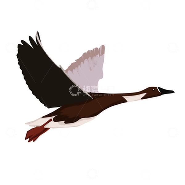 源文件下载【趣麦麦图】飞翔的鸿雁白露节气手绘扁平元素