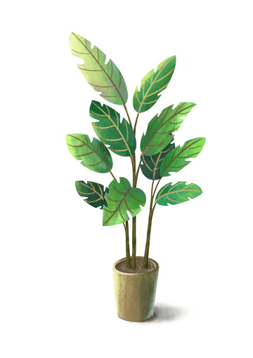 北欧盆栽植物绿植龟背竹清新手绘插画