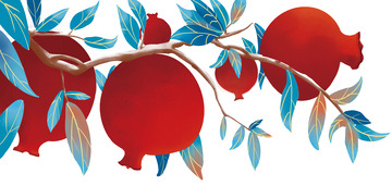红色国风插画石榴