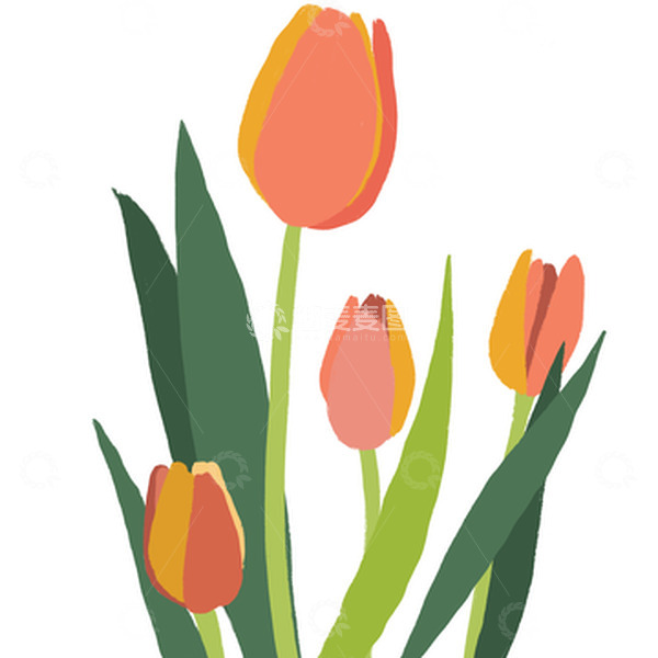 源文件下载【趣麦麦图】小清新粉绿色手绘郁金香插画