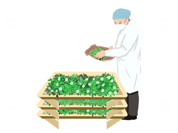 源文件下载【趣麦麦图】养蚕  手工  蚕丝  吐丝