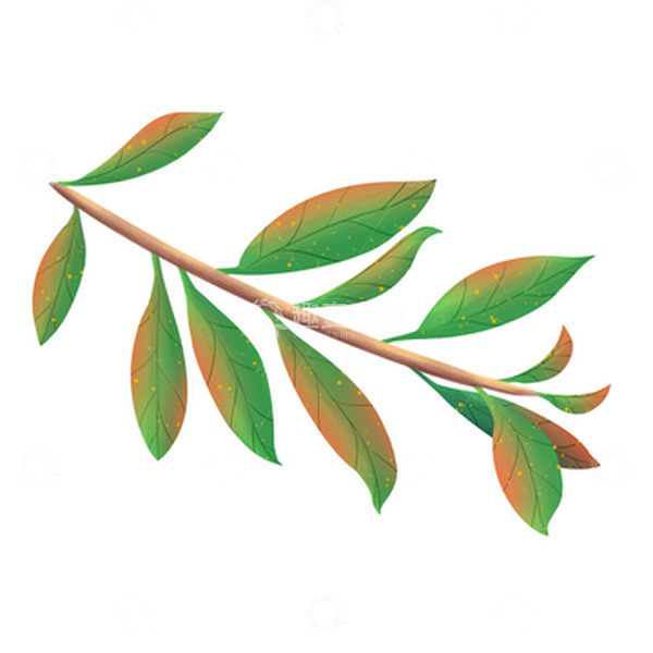 源文件下载【趣麦麦图】绿色树枝树叶手绘插画元素