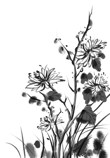 国画水墨黑白菊花手绘元素