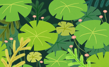 绿色小清新六月荷叶插画手绘图背景