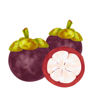紫色山竹水果食物手绘素材