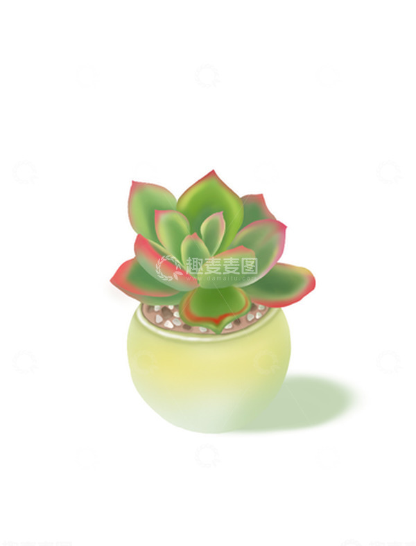 源文件下载【趣麦麦图】绿色小清新多肉手绘植物插图