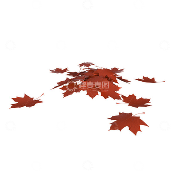源文件下载【趣麦麦图】3D立体树叶秋天枫叶一堆