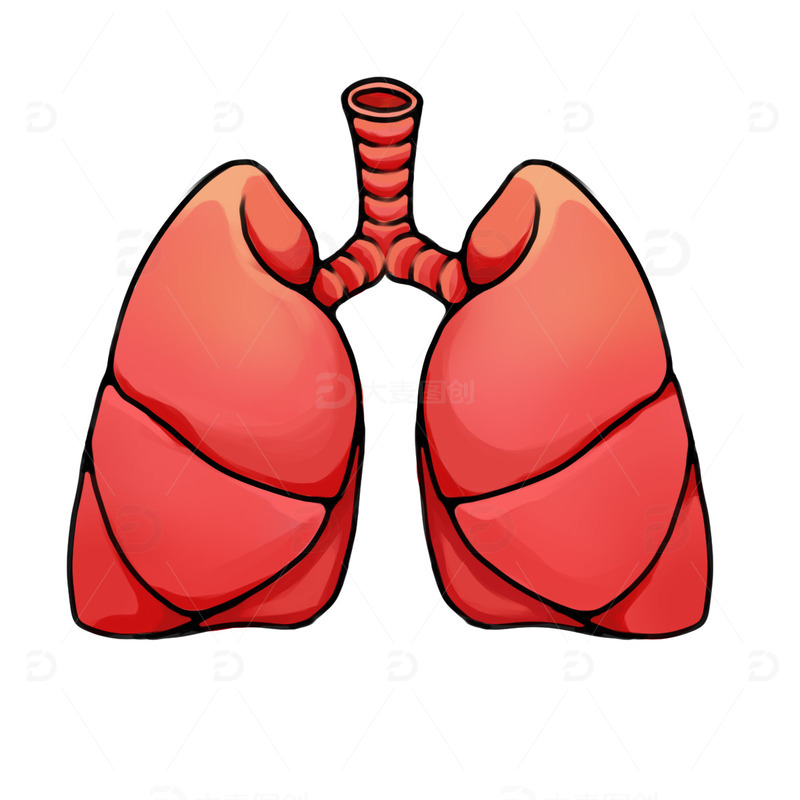 源文件下载【趣麦麦图】医疗 器官 肺部 手绘 插画