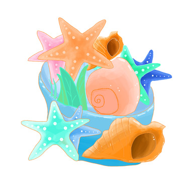 旅游海边手绘贝壳海星海螺