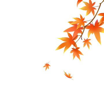 手绘秋天枫叶元素
