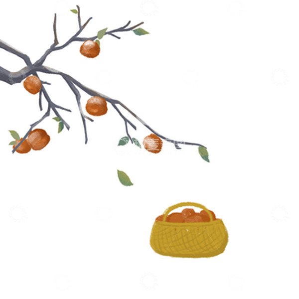源文件下载【趣麦麦图】秋分柿子元素手绘图