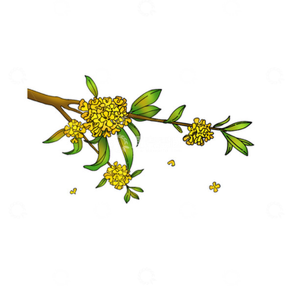 源文件下载【趣麦麦图】-金黄桂花秋分中秋手绘树枝