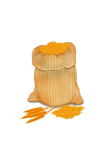 秋分手绘五谷杂粮小麦麦粒金黄麦子麻袋麦穗