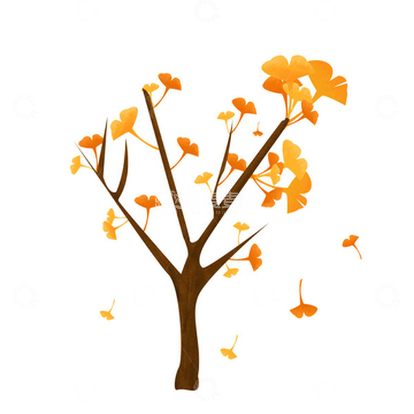 源文件下载【趣麦麦图】秋分霜降重阳节寒露银杏树手绘矢量图