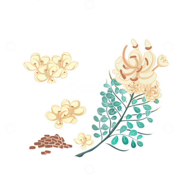源文件下载【趣麦麦图】手绘黄色清新决明子植物插画元素