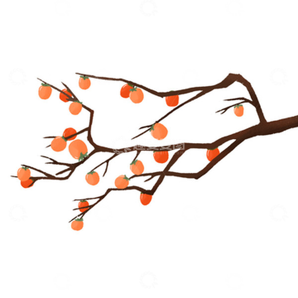 源文件下载【趣麦麦图】橙色简约立秋秋分手绘柿子插画