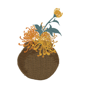 秋日菊花手绘插画元素