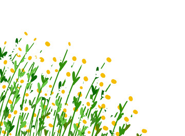 白色绿色雏菊植物花草叶子手绘